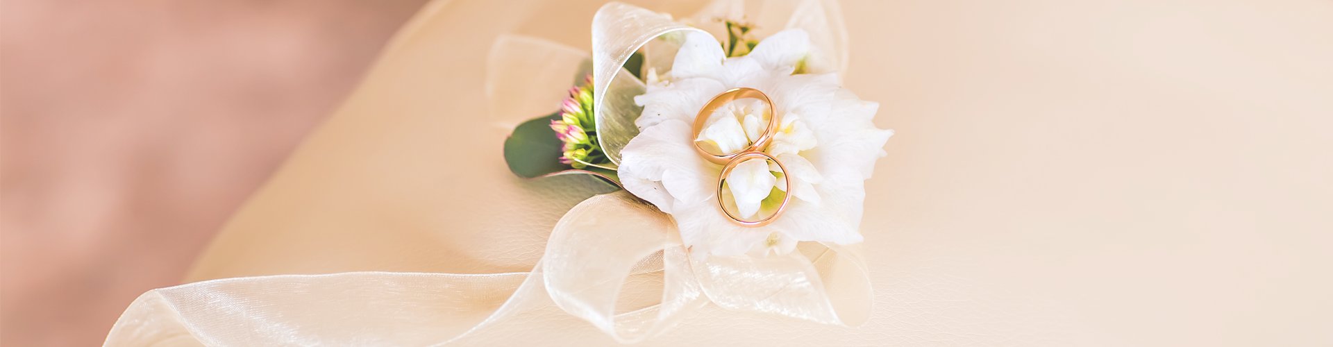 our secret wedding - rings on a cushion