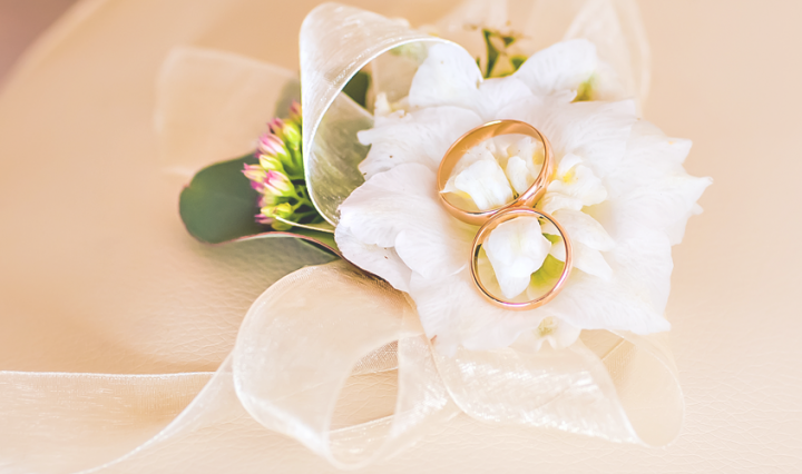 our secret wedding - rings on a cushion