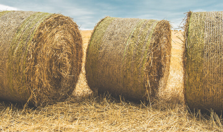 bales of hay