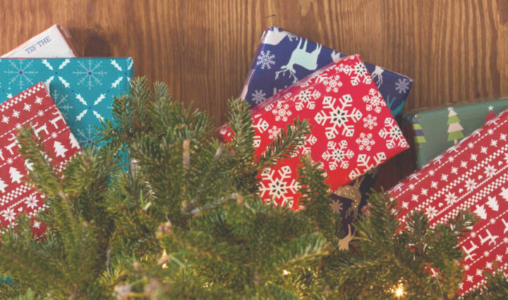 Christmas book advent