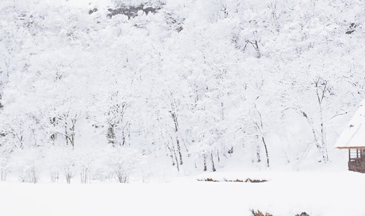 dreaming of a white Christmas