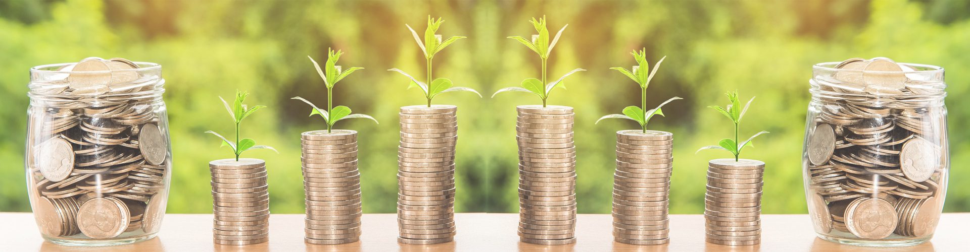 saving for your child's future - stacks of coins with trees growing out of them