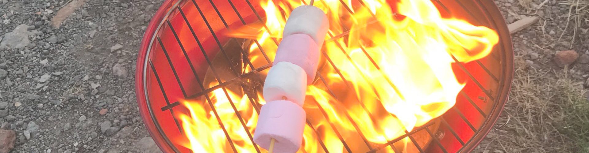 marshmallows toasting on a fire pit