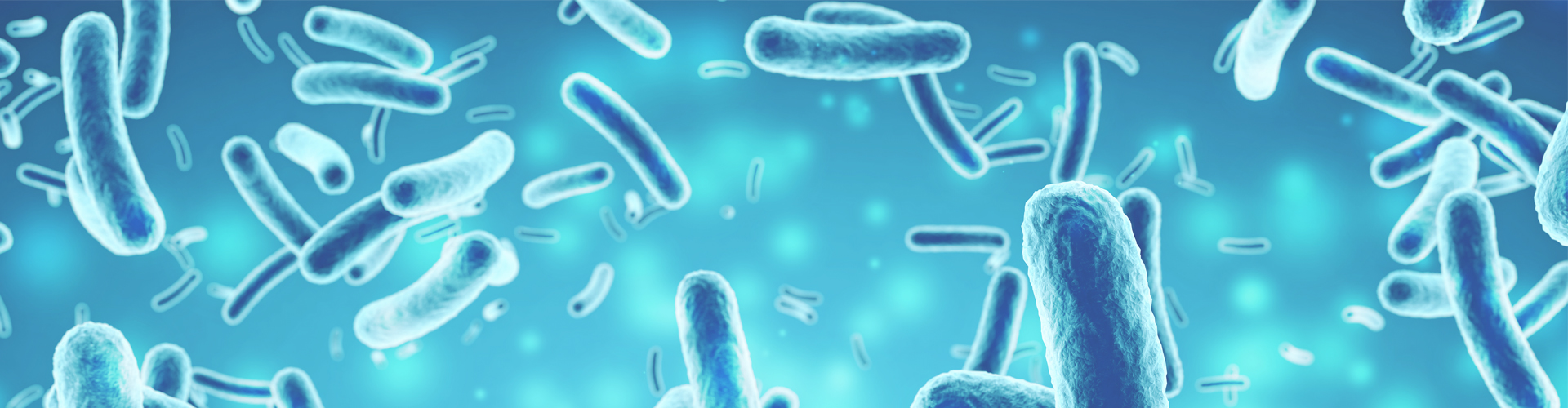 bacteria