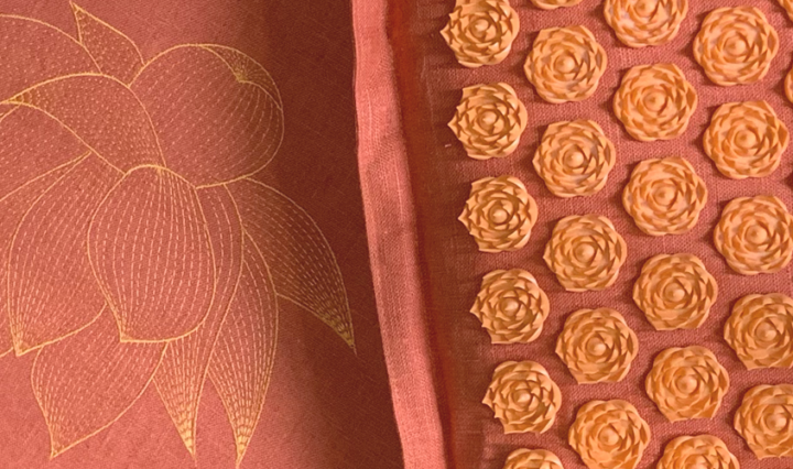 Pranamat Eco Set review - close up