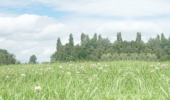 Sam sat on a field, staring out at the sky - just after he received his Early Autism Diagnosis