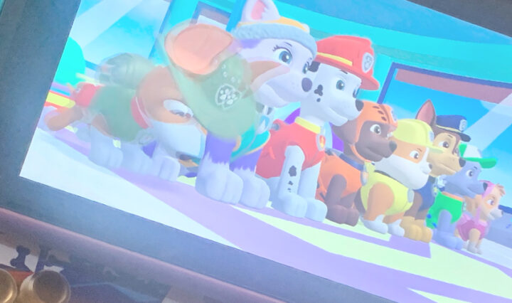 pawpatrolbanner