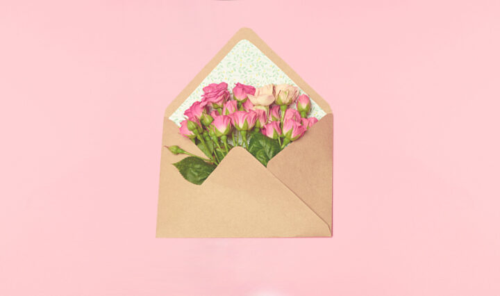 roses tucked inside an envelope with pink background